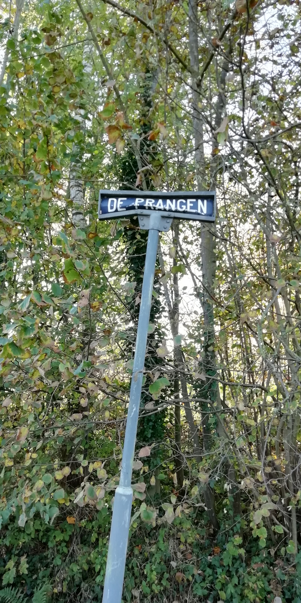 Het verhaal achter de Liempdse straatnaamgeving